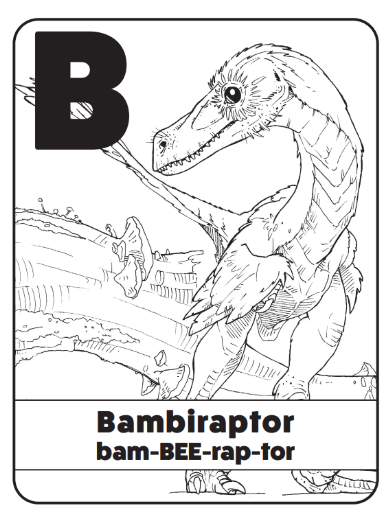 Bambiraptor